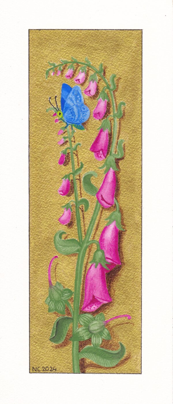 Foxgloves / Les Digitales