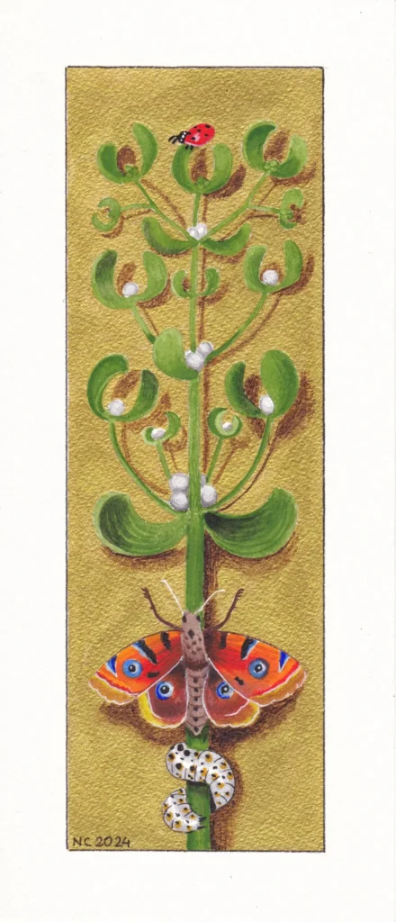 Mistletoe / Le Gui