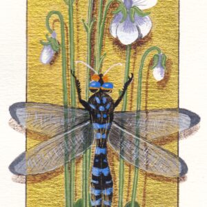 The White Violets / Les Violettes Blanches