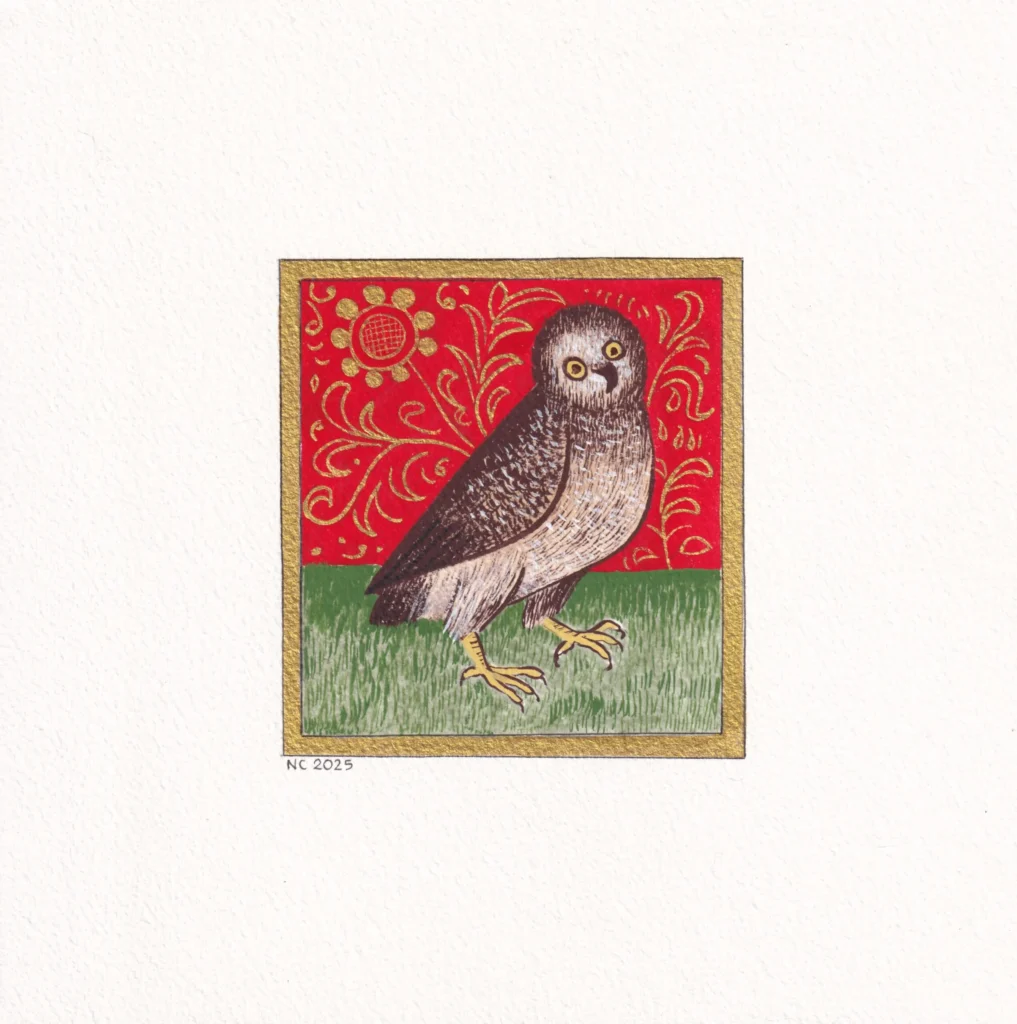 The Owl, as seen in the Book on the Properties of Things, by B. Anglicus.